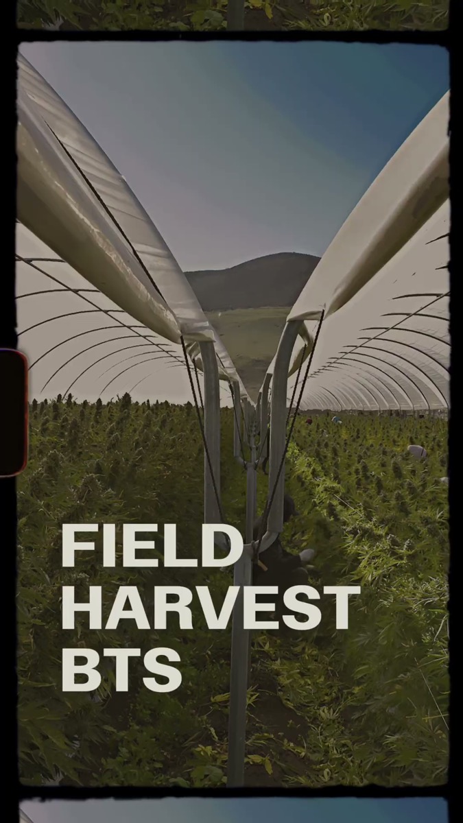 Raw Garden field harvest behind the scenes video